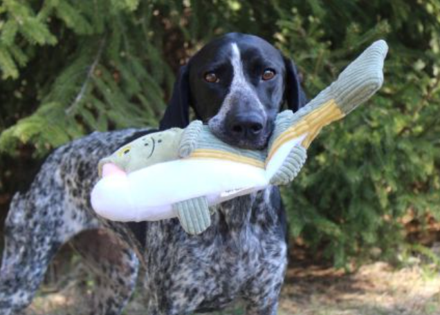 Tall Tails Plush Bass Animated Twitchy Tail Toy - 14"