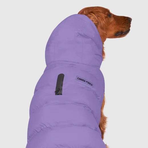 Canada Pooch Waterproof Puffer Violet