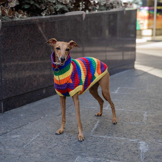 Canada Pooch Over the Rainbow Sweater