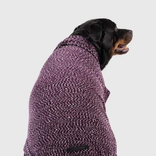 Canada Pooch Soho Sweater Magenta