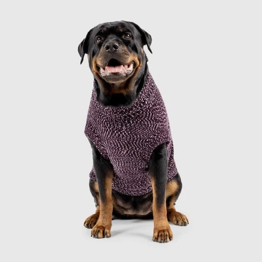 Canada Pooch Soho Sweater Magenta