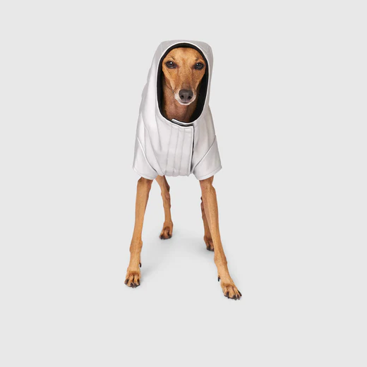 Canada Pooch Cold Front Raincoat Silver