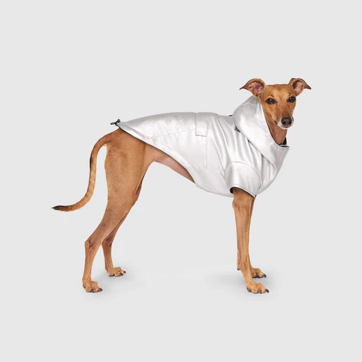 Canada Pooch Cold Front Raincoat Silver
