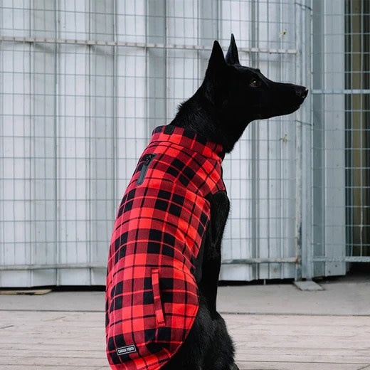 Canada Pooch Thermal Tech Sweater Red Plaid