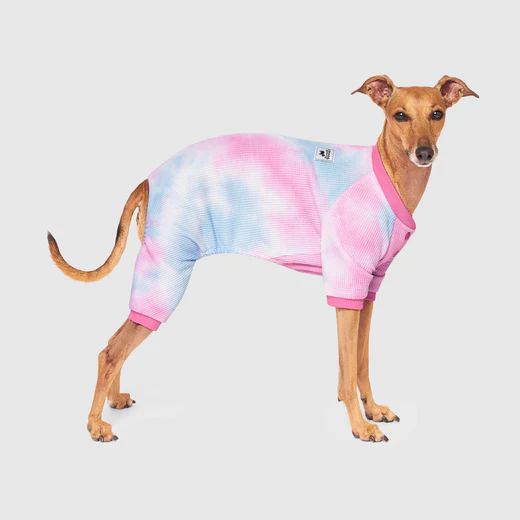 Canada Pooch One-Of-A-Kind Waffle Onesie Pink/Blue