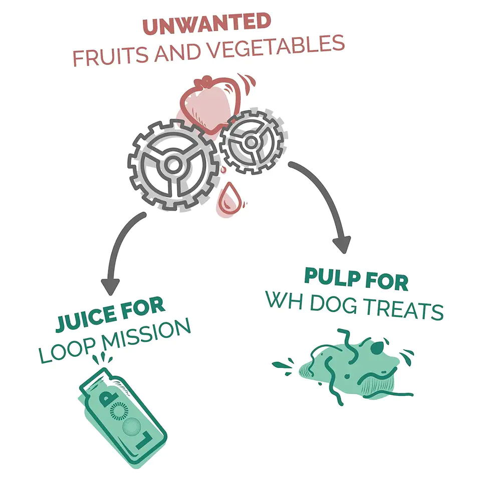 Wilder Harrier Dog Vegan Treats - Seaweed, Pineapple & Ginger