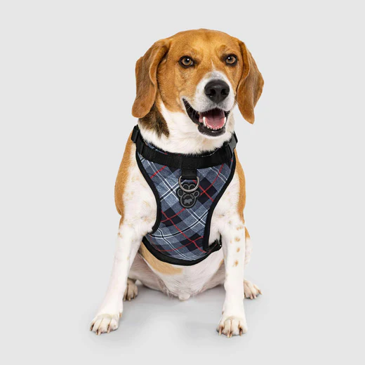 Canada Pooch The Everything Harness Water-Resistant Plaid