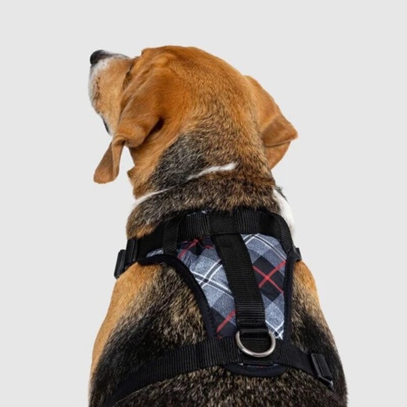 Canada Pooch The Everything Harness Water-Resistant Plaid