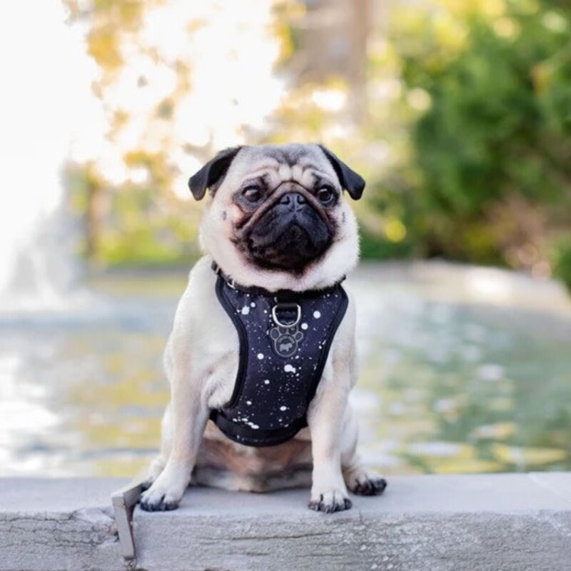 Canada Pooch The Everything Harness Water-Resistant Splatter