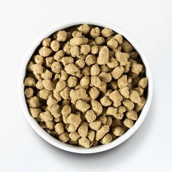 Open Farm Harvest Chicken Freeze Dried Raw Dog Food
