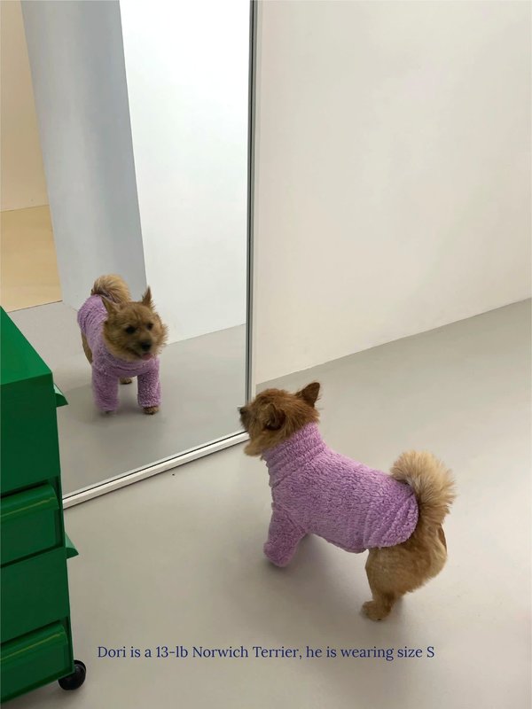 Little Beast Purple Disco Fleece Sweatshirt
