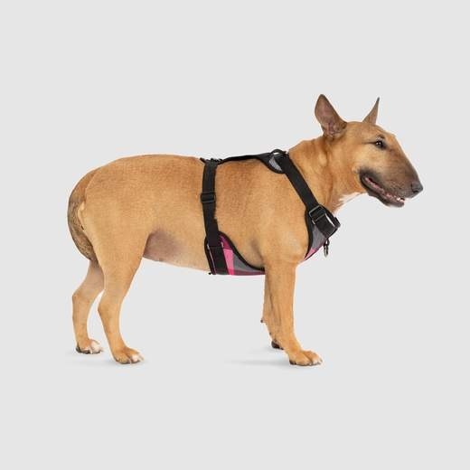 Canada Pooch The Everything Harness Water-Resistant Pink Plaid