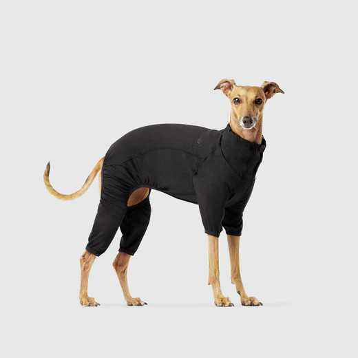 Canada Pooch Thermal Layer Onesie