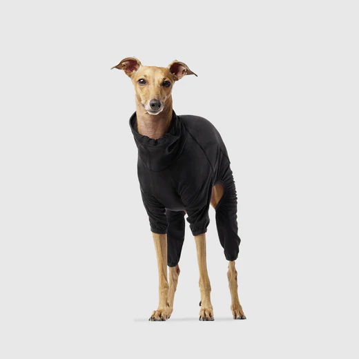 Canada Pooch Thermal Layer Onesie