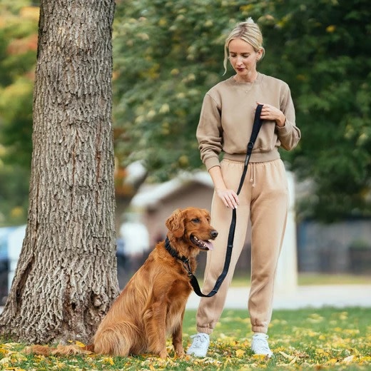 Canada Pooch Utility Leash Black S/M