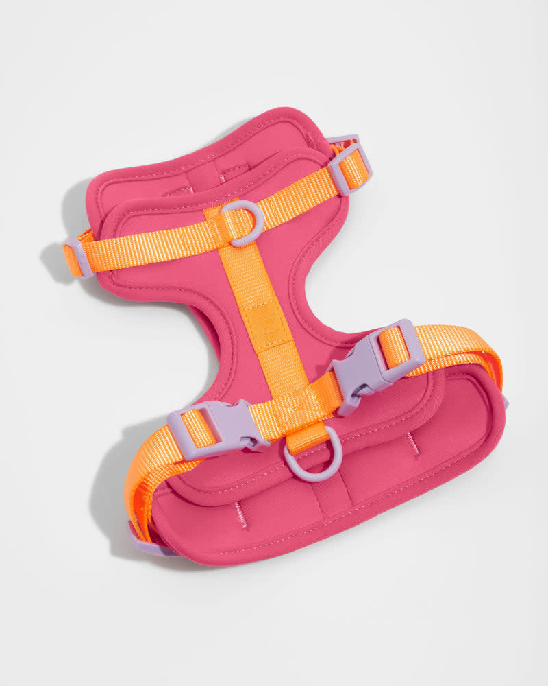Wild One Medium Harness - Isaac Mizrahi Cosmopolitan Pink