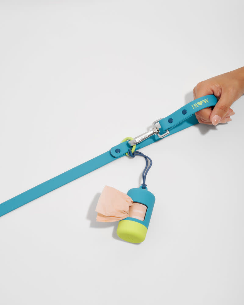 Wild One Leash - Hudson Blue Small