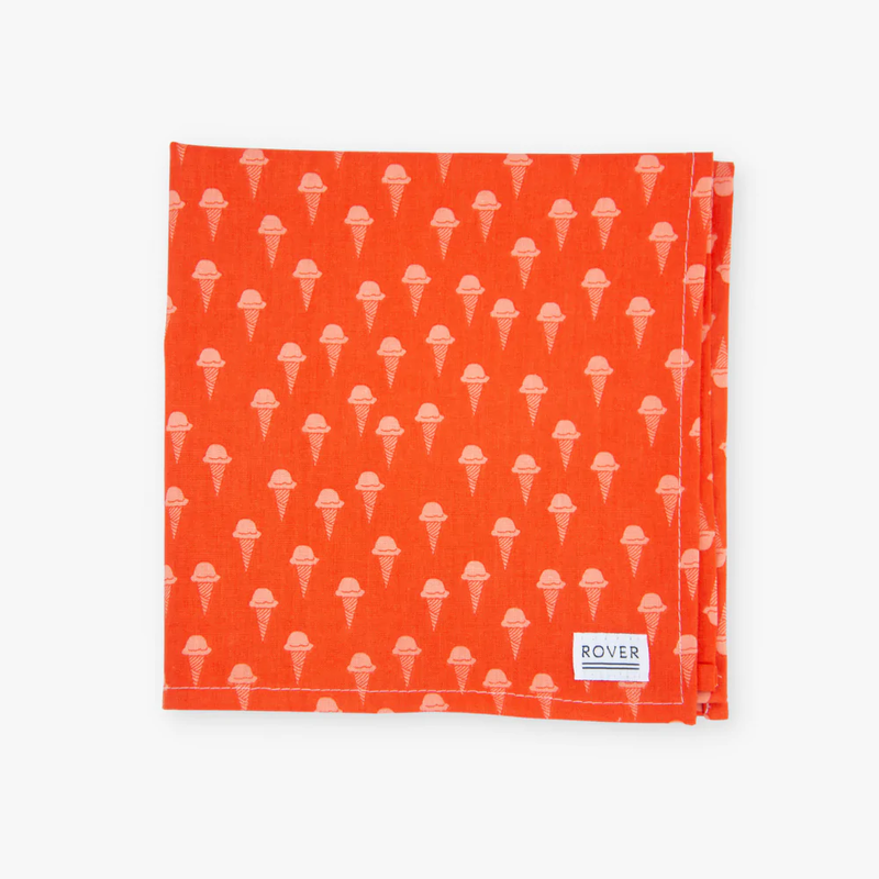 The Rover Boutique Cone Dog Bandana