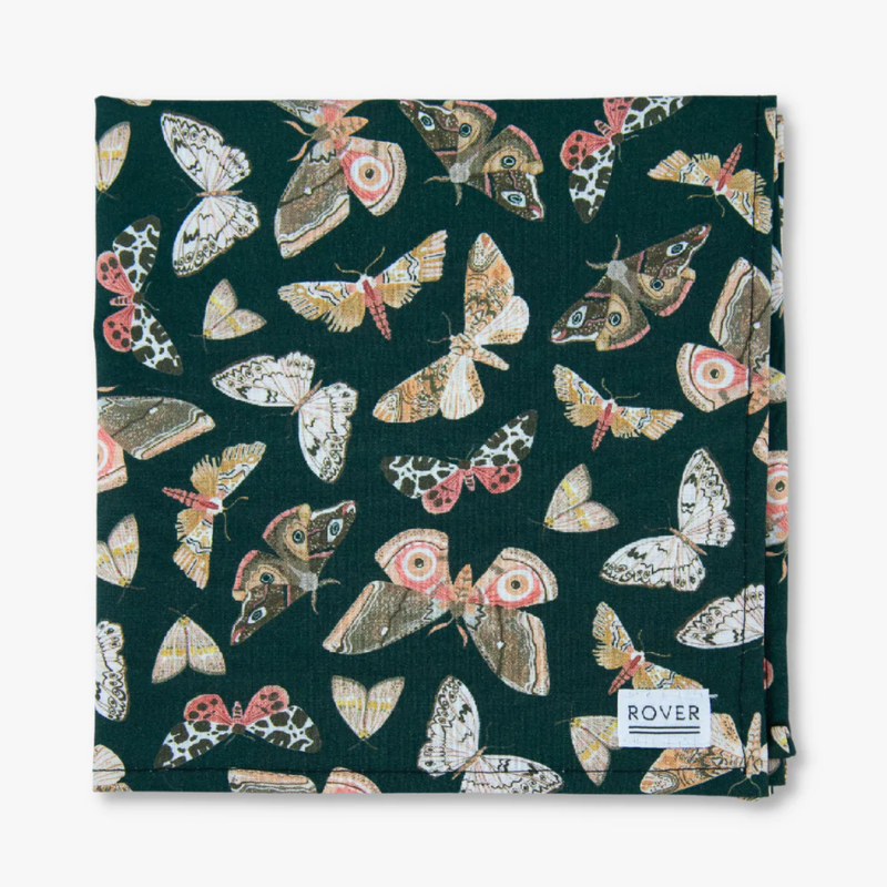 The Rover Boutique Butterfly Dog Bandana