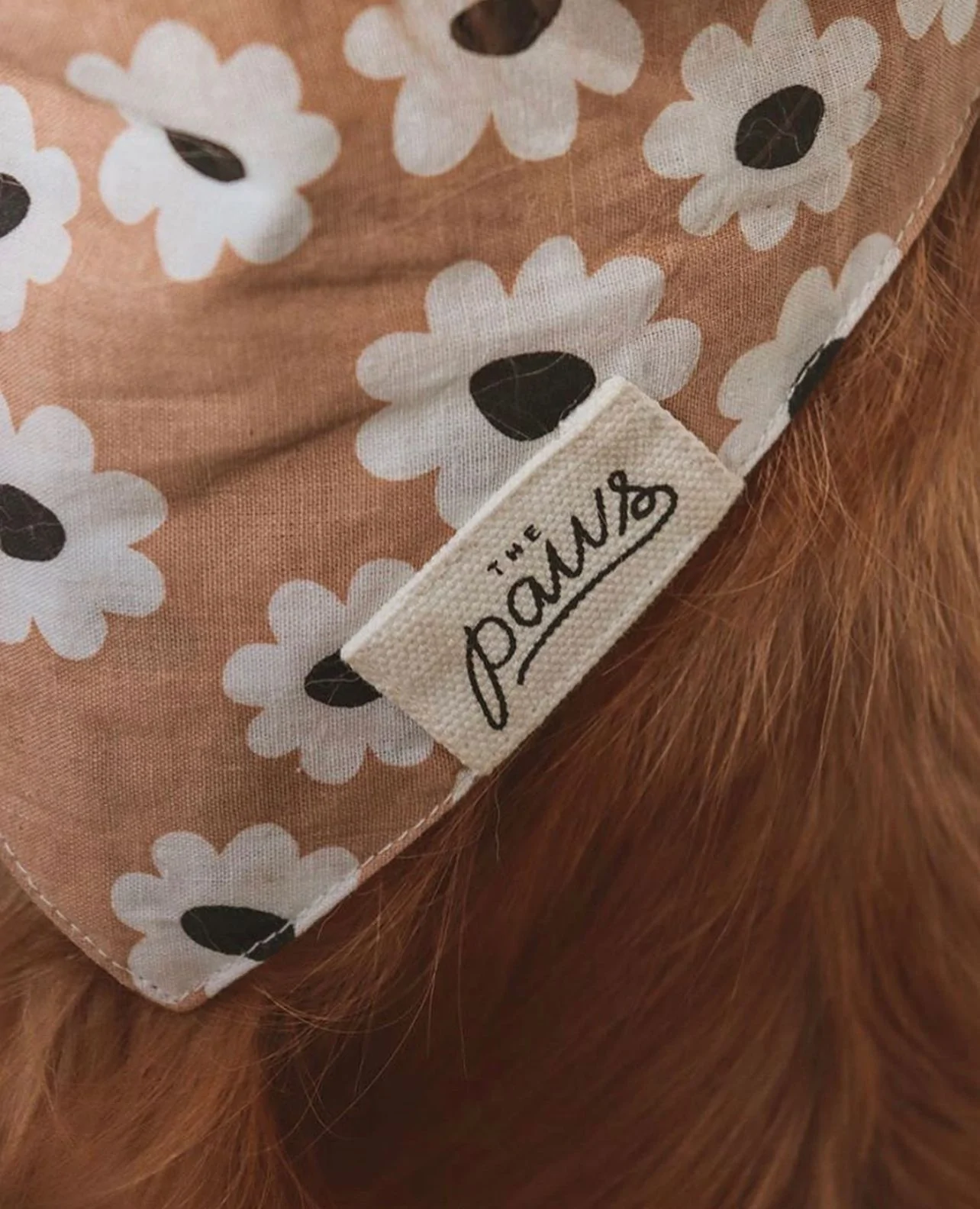 The Paws Sierra Daisies Bandana