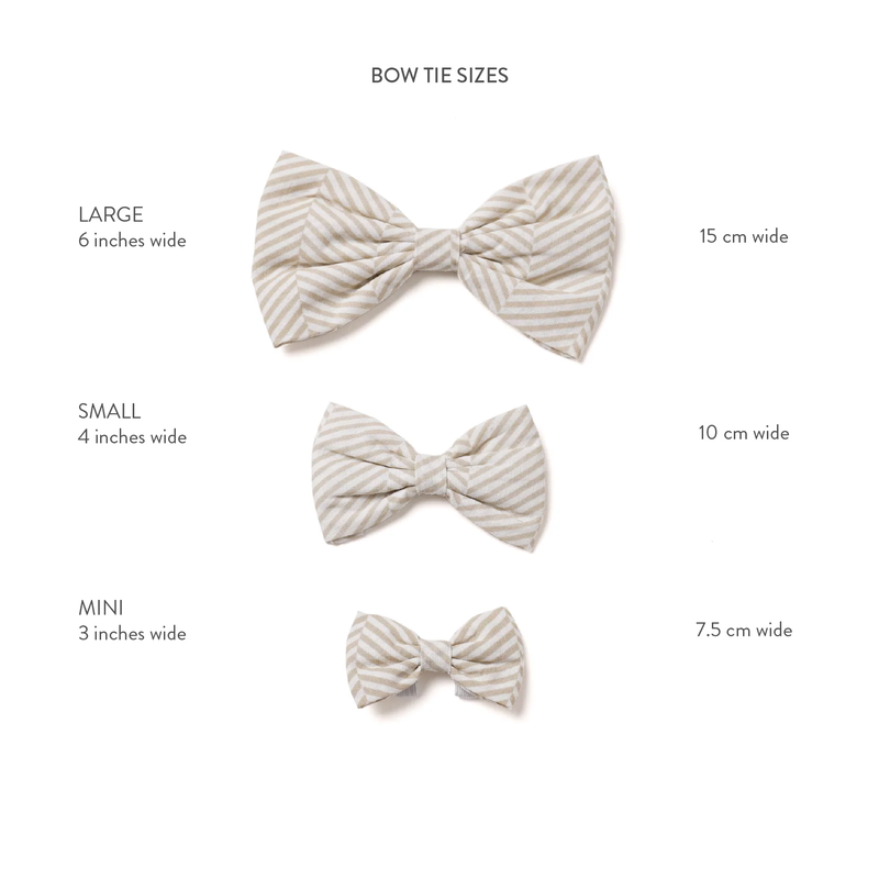 The Paws Penny Bow Tie