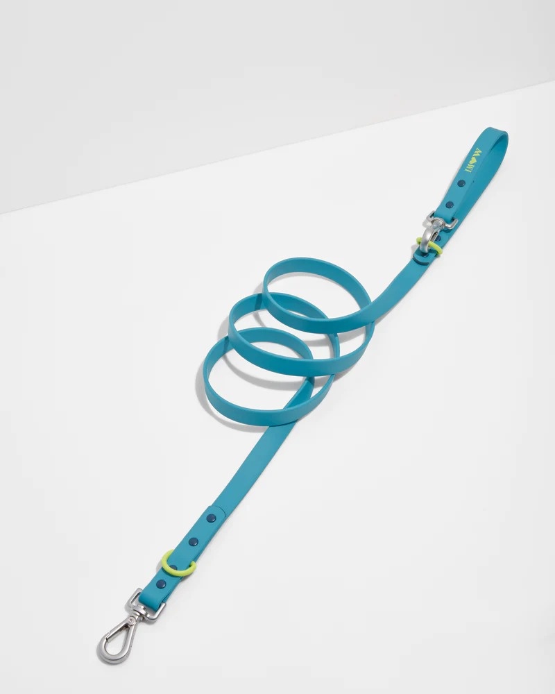 Wild One Leash - Hudson Blue Standard