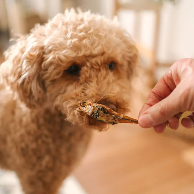 Faim Museau Dried Wild Smelts Treats for Cats & Dogs 150g