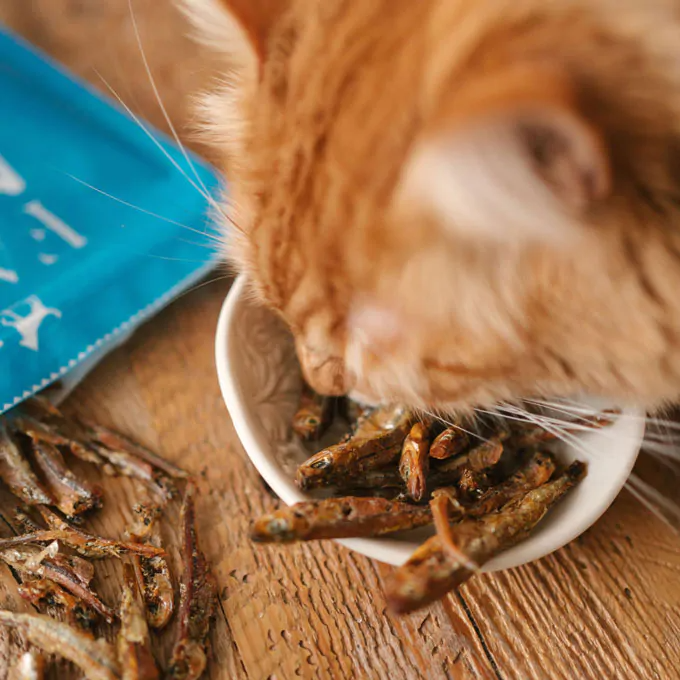 Faim Museau Dried Wild Smelts Treats for Cats & Dogs 150g