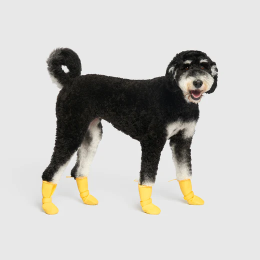 Canada Pooch Torrential Tracker Waterproof Rain Boots - Yellow