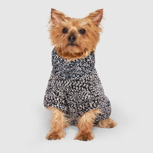 Canada Pooch Copy of Soho Sweater Grey Mix