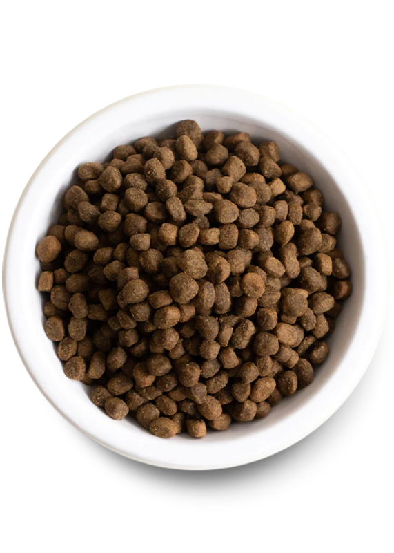 Open Farm Wild-Caught Salmon Grain-Free Dry Dog Food