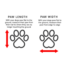 Canada Pooch Torrential Tracker Waterproof Rain Boots - Yellow