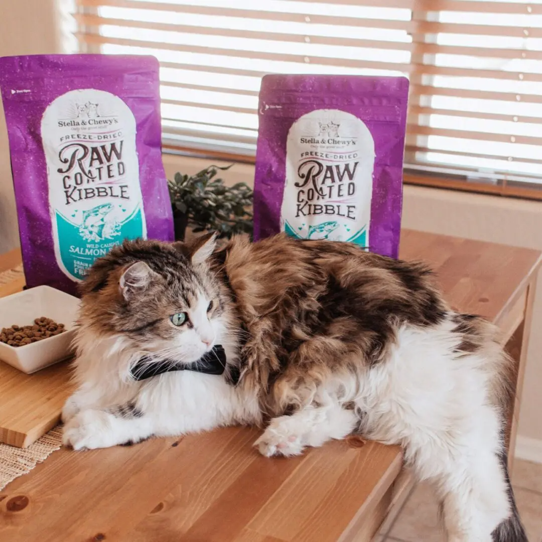 Stella & Chewy's Raw Coated Kibble Wild-Caught Salmon Recipe