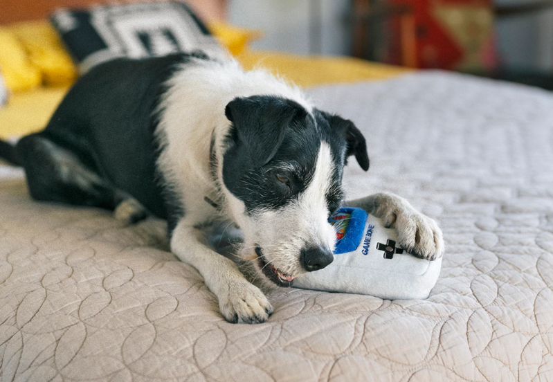 PLAY Game Bone Dog Plush Toy