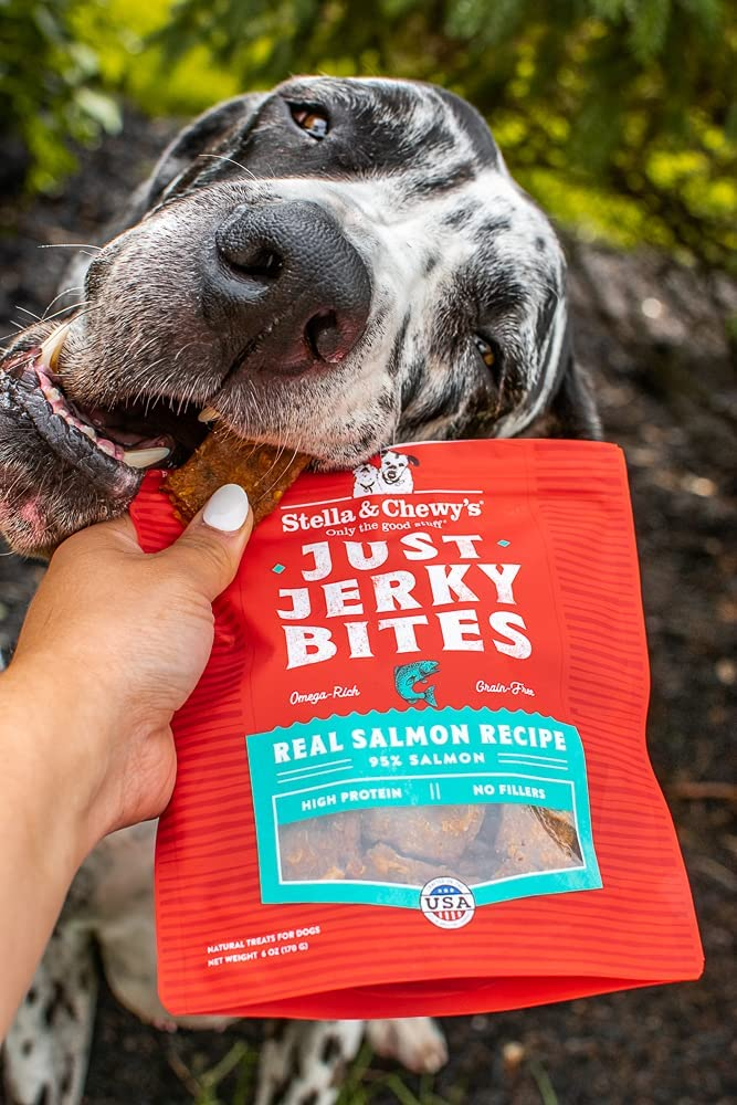 Stella & Chewy's Just Jerky Bites Real Salmon Recipe 6oz