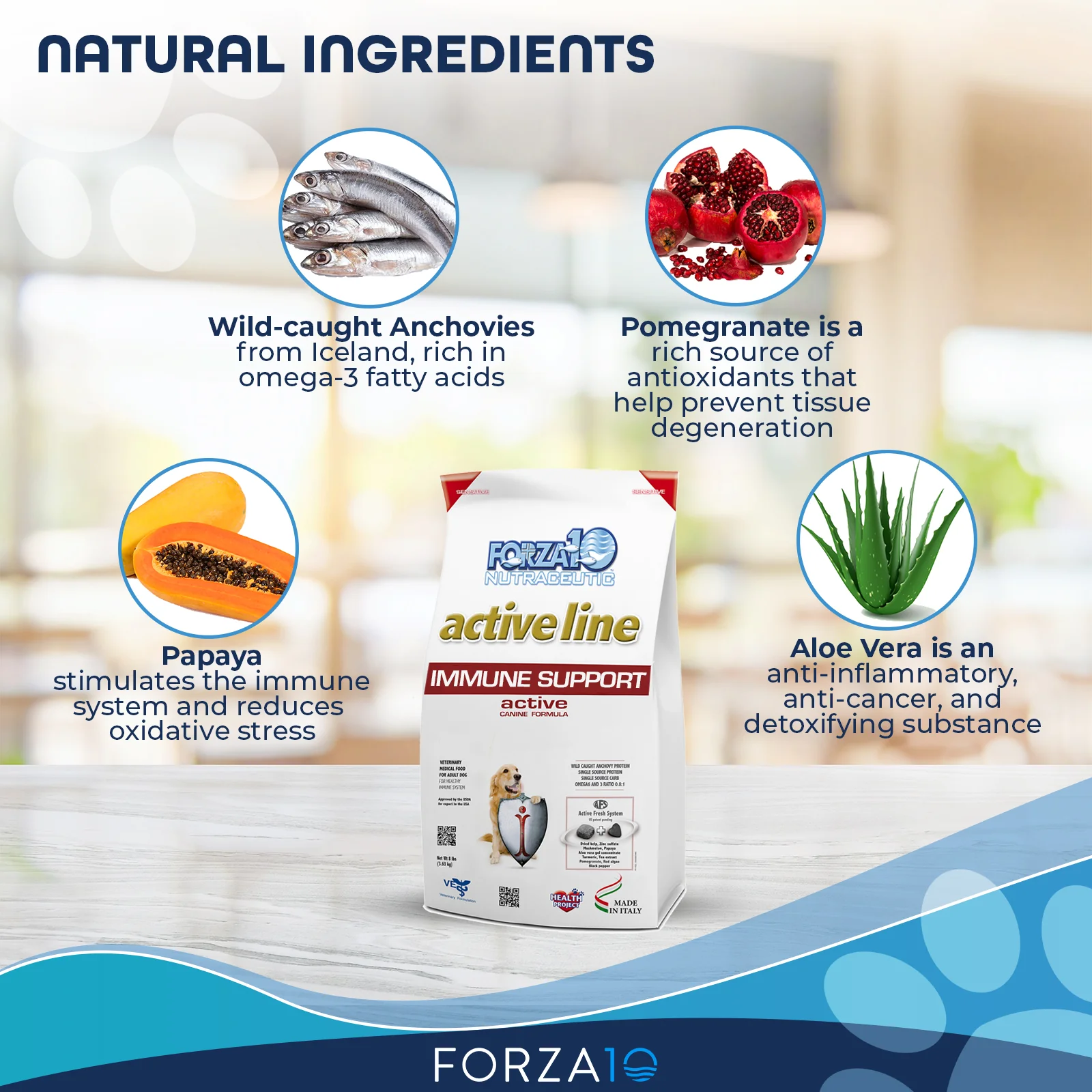 Forza Forza Immuno Active