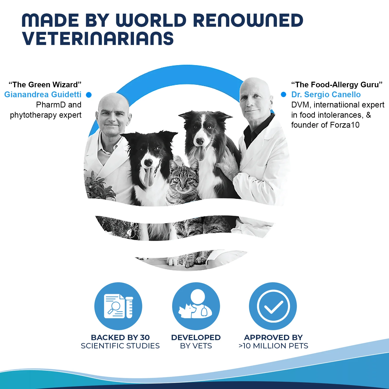 Forza Forza Immuno Active