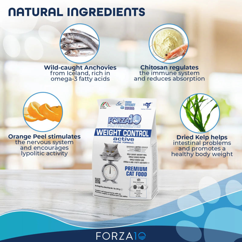 Forza Forza Cat Weight Control Active