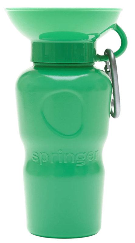 Springer Springer Bottle 22oz Classic - Green