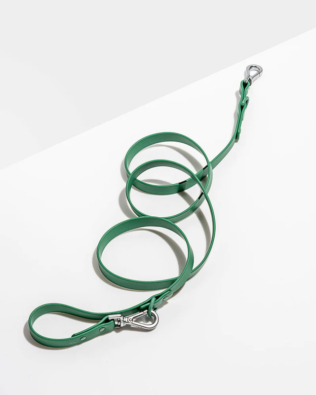 Wild One Wild One Leash Spruce- Standard