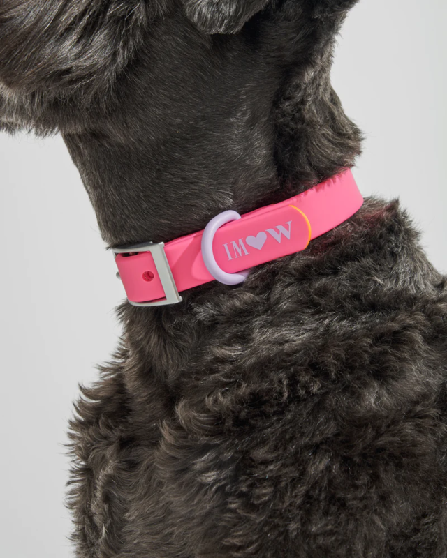 Wild One Isaac Mizrahi Cosmopolitan Pink Collar