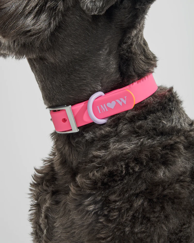 Wild One Collar- Isaac Mizrahi Cosmopolitan Pink