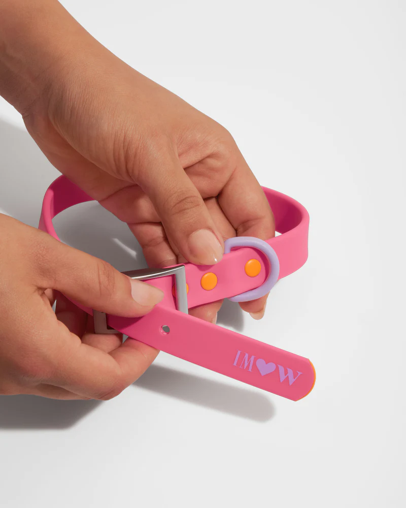 Wild One Collar- Isaac Mizrahi Cosmopolitan Pink