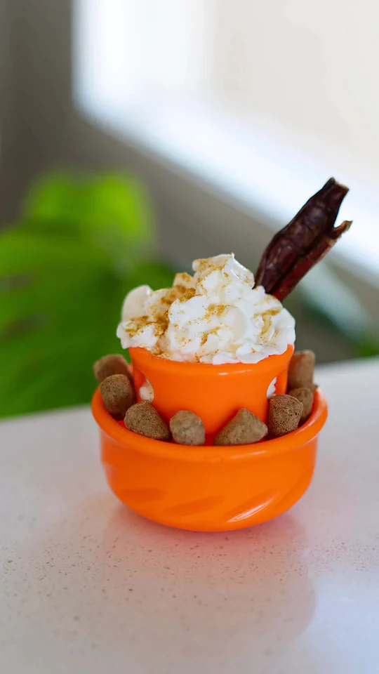 Messy Mutts Puzzle n' Play Mushroom Dog Toy 4" Orange