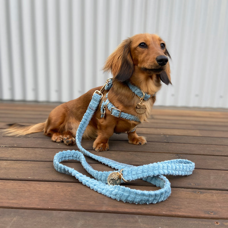 Nice Digs Copy of Jumbo Cord Dog Collar Sky