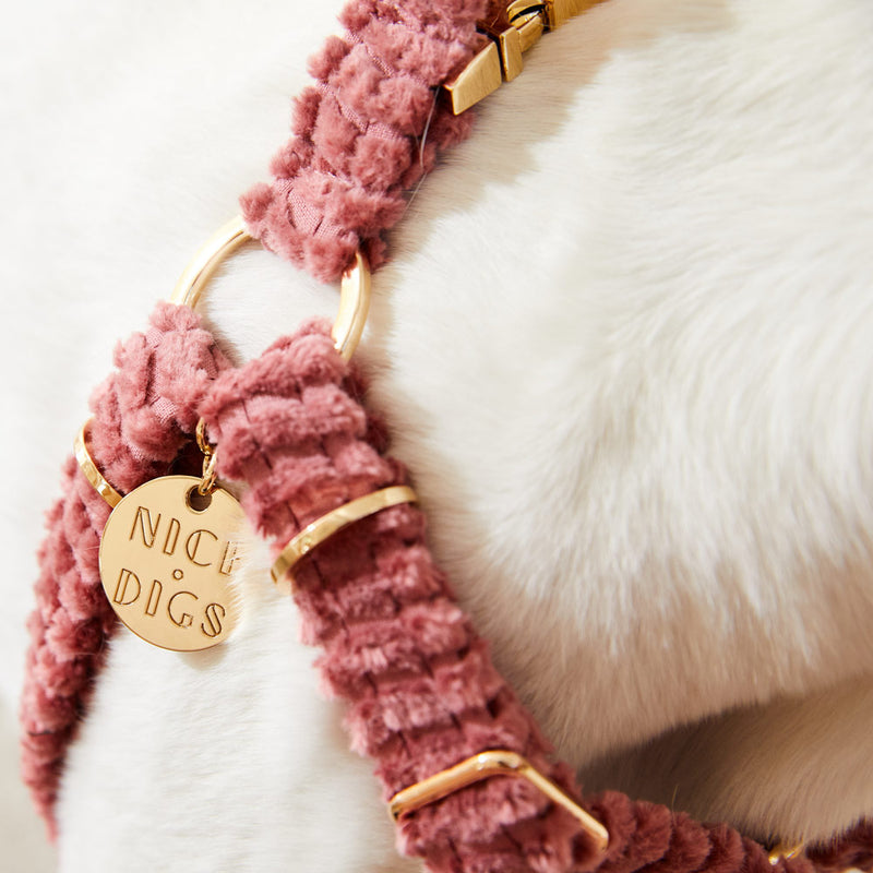 Nice Digs Jumbo Cord Dog Harness Dusk