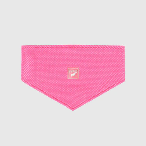 Canada Pooch Cooling Bandana - Neon Pink