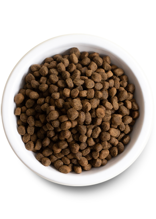 Open Farm Grass-Fed Beef Grain Free Dry Dog Food