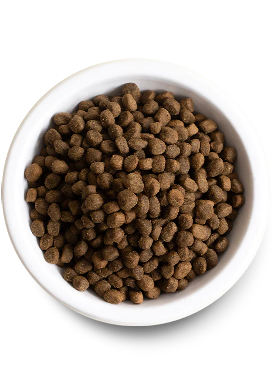 Open Farm Grass-Fed Beef Grain Free Dry Dog Food