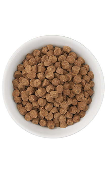 Tiki Cat Born Carnivore Herring & Salmon Recipe Dry Cat Food 5.6 lbs